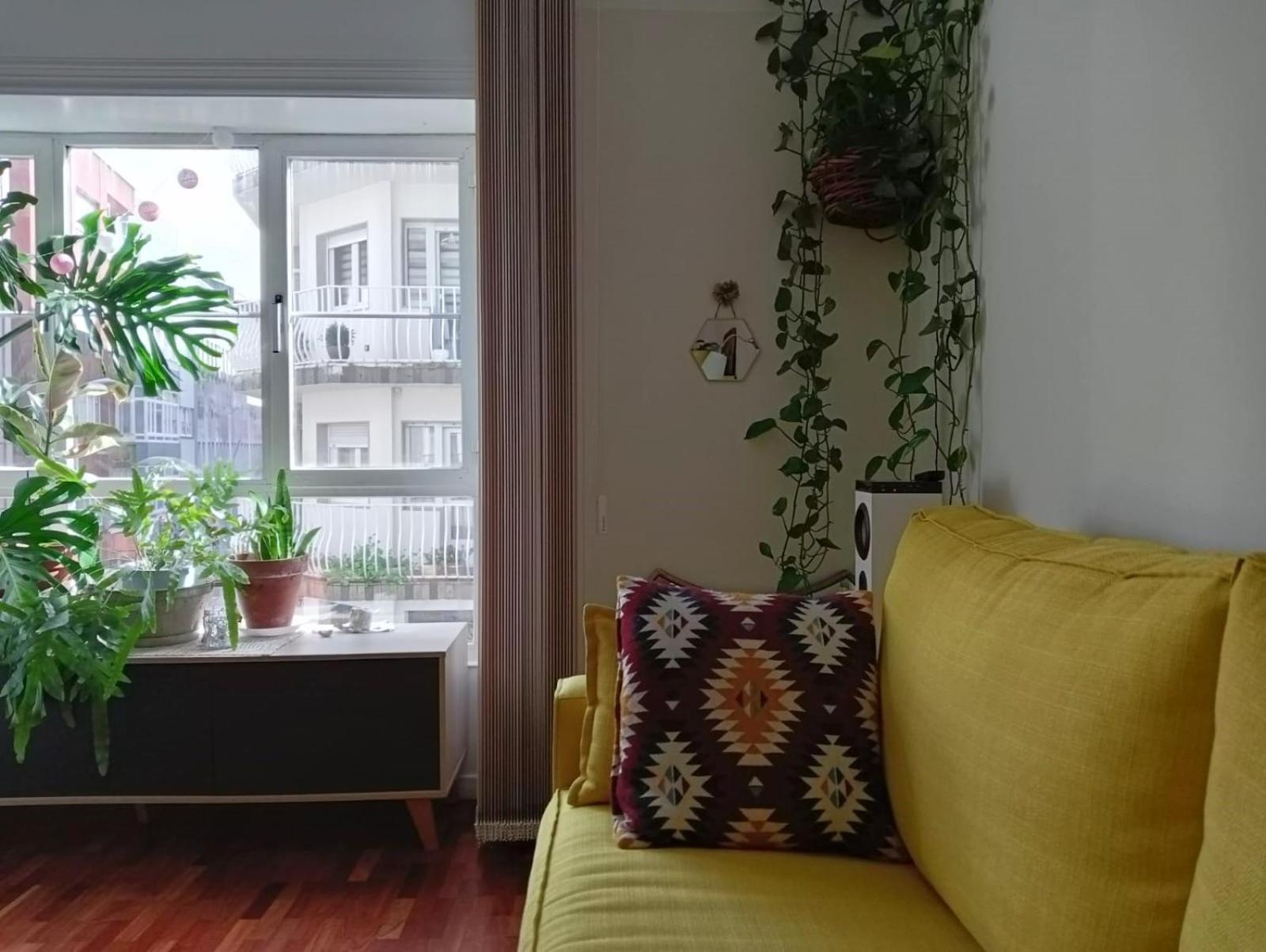 La Maceta Apartman Pontevedra Kültér fotó
