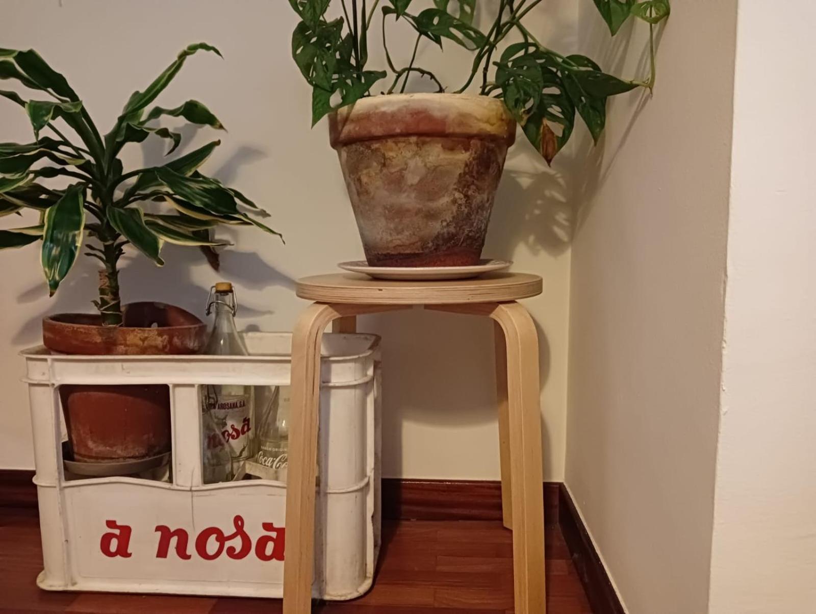 La Maceta Apartman Pontevedra Kültér fotó