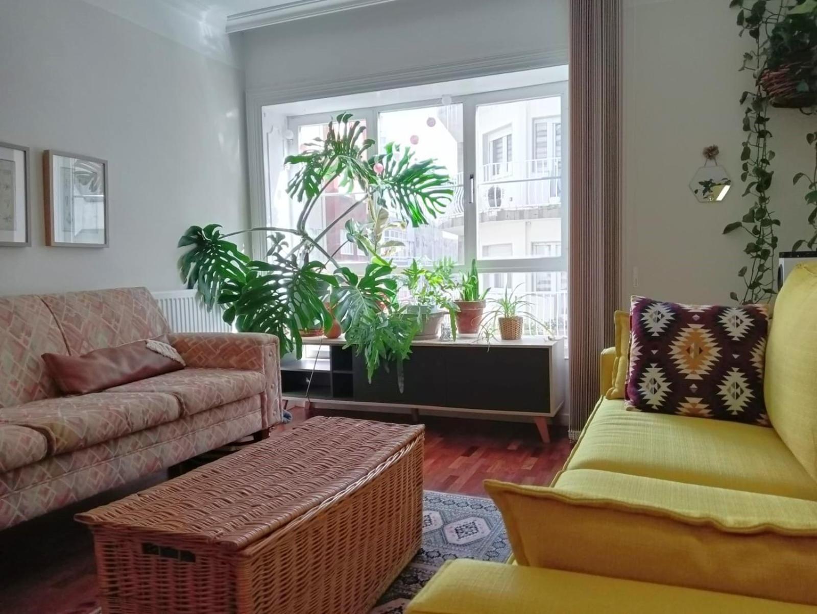 La Maceta Apartman Pontevedra Kültér fotó